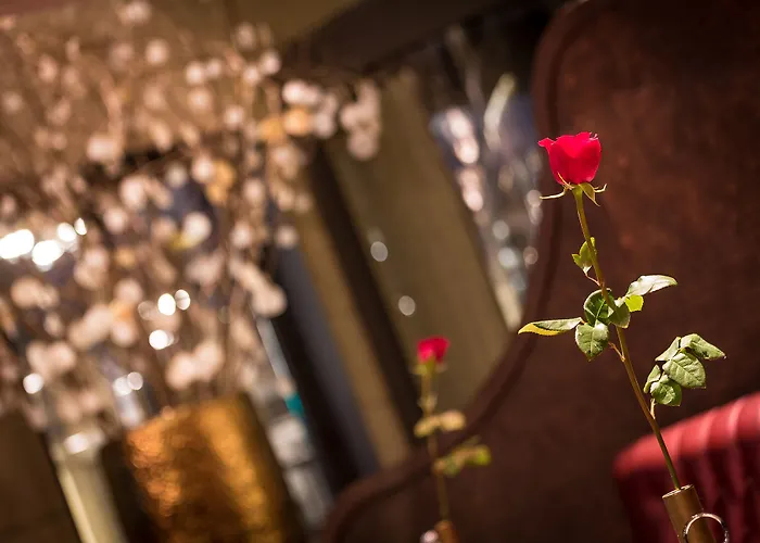 酒店 Bagues, A Small Luxury Of The World 5*