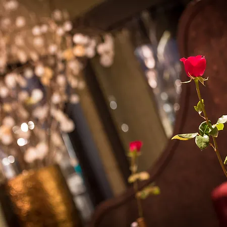 Hotel Bagues, A Small Luxury Of The World 5*